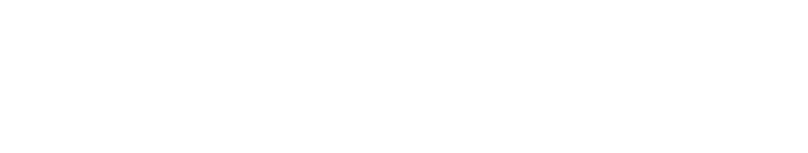 Esri ArcGIS Partner